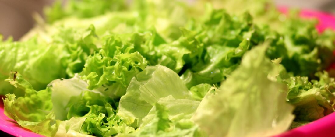 Is a Salad Spinner Worth It? Honest Review for 2026